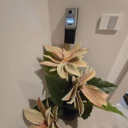 New Living Milano B&B